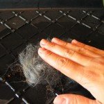 Alpaca How to felt soap