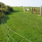 Alpaca Rotational Fence