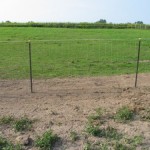Install Field Fence