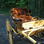 alpaca-fur-carriage-lap-rug